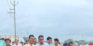 अर्जुन बरोदा पुल पर यातायात सुचारू बनाने हेतु जल संसाधन मंत्री सिलावट ने किया निरीक्षण
