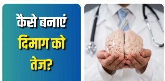 Brain Health: सुबह की ये 4 आदतें बनाएं दिमाग को सुपर एक्टिव, बढ़ेगा फोकस और याददाश्त Brain Health
