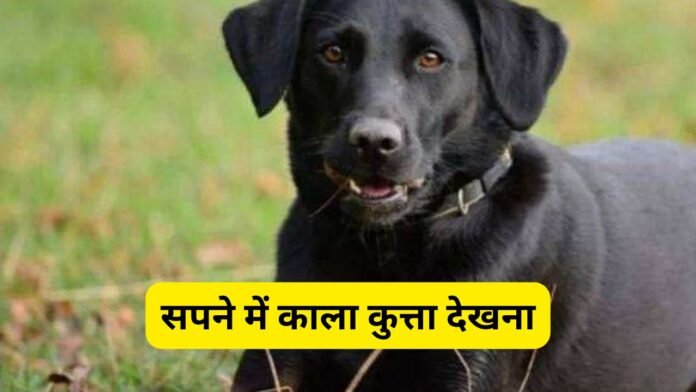 सपने में काला कुत्ता देखना