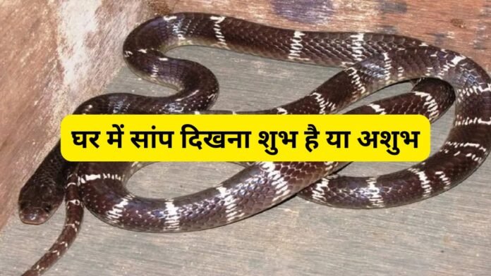 Snake in Home घर में सांप दिखना