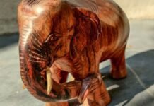 Vastu Tips for Home: घर में हाथी की मूर्ति इस तरह रखने से बदल सकती है किस्मत, जानें नियम घर में हाथी की मूर्ति कहाँ रखें?