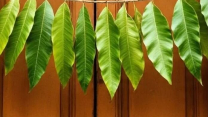 तोरण लगाने के फायदे