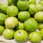 सर्दियों का सुपरफूड अमरूद, अब बनेगा टेस्टी पापड़ रोल—जानें आसान रेसिपी सर्दियों का सुपरफूड अमरूद