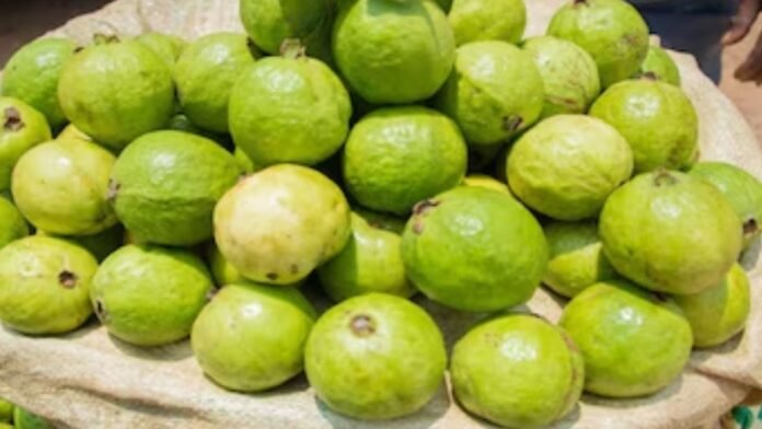 सर्दियों का सुपरफूड अमरूद