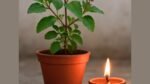 तुलसी विवाह पर 5 दीपक क्यों जलाए जाते हैं? जानें नियम और खास मंत्र