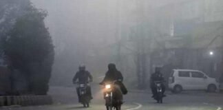 IMD Cold Alert: उत्तर भारत में ठंड का कहर, IMD ने जारी किया 7 दिन का कोल्ड अलर्ट IMD Cold Alert