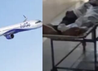 जबलपुर में इंडिगो फ्लाइट की इमरजेंसी लैंडिंग, यात्री की हालत बिगड़ने के बाद मचा हड़कंप, इलाज के दौरान मौत इंडिगो फ्लाइट