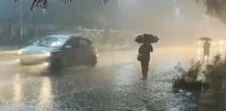 MP Weather Update: मध्य प्रदेश में सक्रिय हुआ प्री-मानसून, 34 जिलों में बारिश और तेज आंधी का अलर्ट MP Weather Update