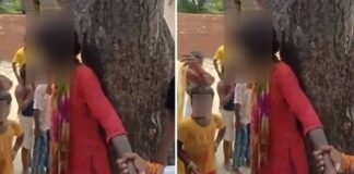 UP News: चोरी के आरोप में दलित किशोरी को पेड़ से बांधकर पीटा, वीडियो वायरल होने पर आरोपी गिरफ्तार UP News