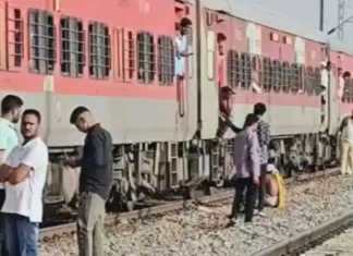 MP News: मुरैना ट्रेन हादसा, अफवाह ने ली 4 लोगों की जान, इंटरसिटी से उतरते ही दूसरी ट्रेन की चपेट में आए यात्री मुरैना ट्रेन हादसा