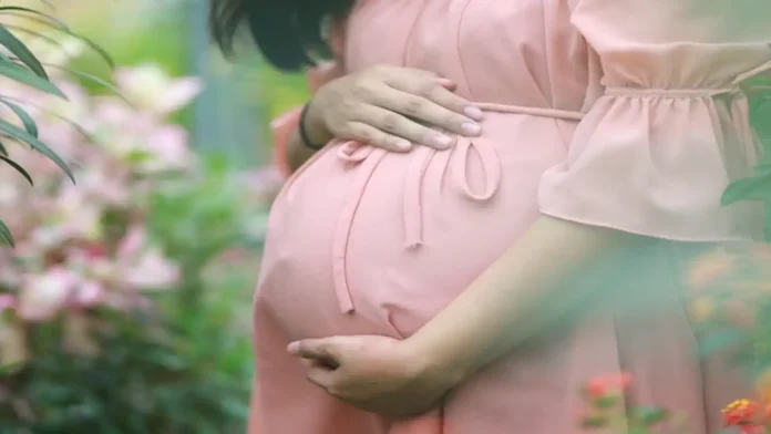 MP High Court Pregnancy News MP High Court Pregnancy News